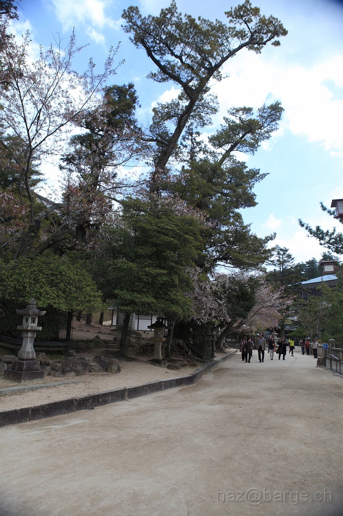 EOS 5D Mark II10_04_20134312.JPG